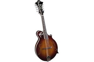 Rover RM-85 Deluxe F-model Mandolin – Burgundy Burst