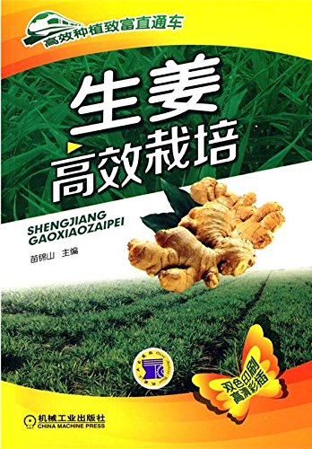 高效种植致富直通车 番茄高效栽培 苗锦山 Amazon Com Books