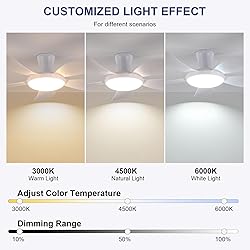 PHORUS 48" White Ceiling Fan with Lights and