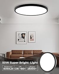 hepside 23INCH Big Dimmable Flush Mount Ceiling