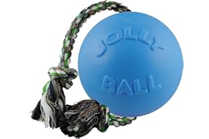 Jolly Pets Romp-n-Roll Rope and Ball Dog Toy, 6 Inches/Medium, Blueberry, Model Number: 606 BB, All Breed Sizes