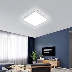 12 inch Flush Mount LED Ceiling Light