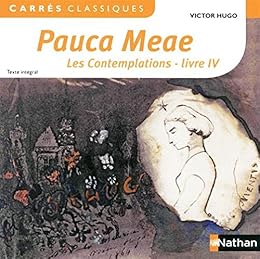 Pauca meae