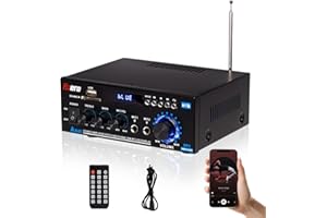 HZERO Amplifier HiFi Home Audio Amp, Bluetooth Amplifier for Home Stereo Receiver, 600W 2 Channel, with Remote Control AK45