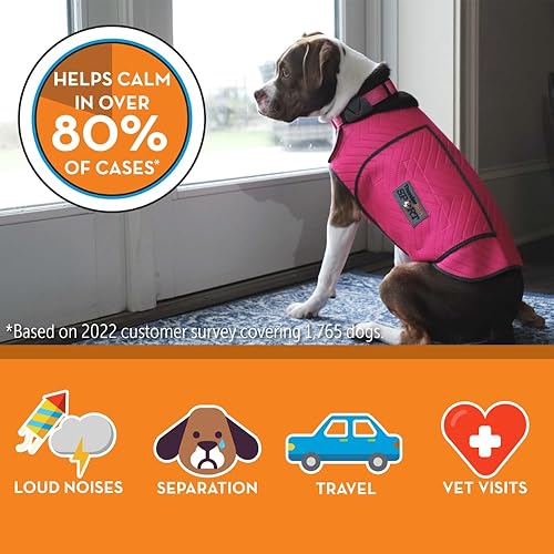 Thunderease Calming Chews Thunderworks For Dogs ThunderShirt For