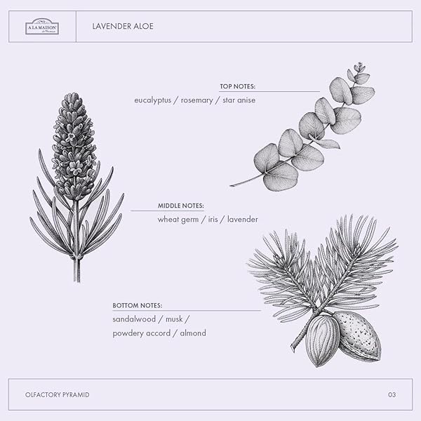 A LA MAISON FRENCH LIQUID HAND SOAP REFILL – NATURAL HAND WASH MADE WITH ESSENTIAL OILS – BIODEGRADABLE, PLANT-BASED, VEGAN, CRUELTY-FREE (33.8 FL OZ POUCH (2 PACK), LAVENDER ALOE)