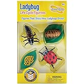 Insect Lore Ladybug Life Cycle - 4 PC Insect Figure Shows Life Of Lady Bug