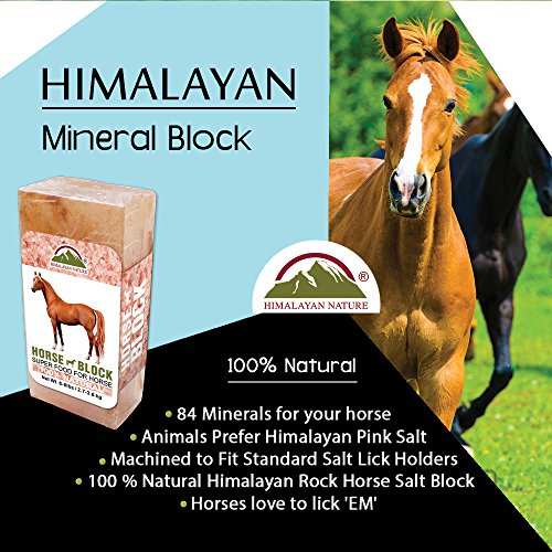 Himalayan Nature 100 Natural Himalayan Rock Salt Block Mineral Salt