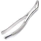 OdontoMed2011&reg; Dental EXTRACTING Forceps #151 Extraction Forceps Stainless Steel