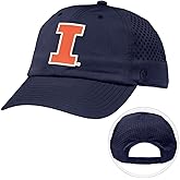 Desert Cactus Illinois Snapback Hat – BreezePro Performance Cap with Adjustable Strap Designed for Fighting Illini Fans (BP3)