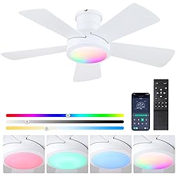 Ceiling Fans with RGB LED Lights, Modern Low