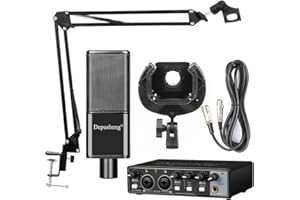 Depusheng KA2 USB Audio Interface 24 Bit/96 kHz for Recording Music, XLR Interface with 48 V Phantom Power, Audio Box for PC/Win/Mac Streaming and Guitarist, Vocalist, Podcaster or Producer (KA2 V12)