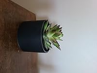 Review Image by Jay Nic