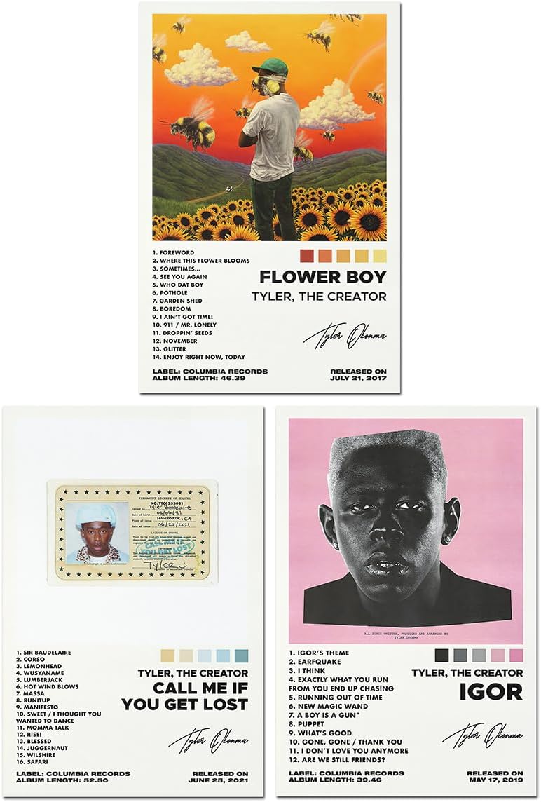 Wall Décor - A Set of 3 canvas posters,Tyler Poster Flower Poster Boy Igor Poster Call Me If You Get Lost Poster, Album Aesthetics 3 Piece Set,8x12IN Canvas Prints Unframed Set of 3