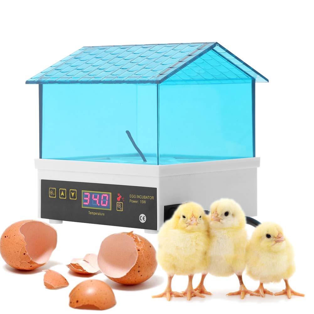 Egg Incubator, Mini Digital Egg Hatcher Poultry Hatcher Clear Temperature Control for Chicken Duck Bird Quail