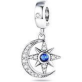 NUJIFFY 925 Sterling Silver Charms Beads for Bracelets Necklaces Dangle Pendants Women Bead Charms Jewelry Birthday Gift