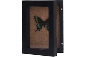 BECTSBEFF 5x7 Shadow Box, Display Size 4x6 Shadow Box Frame with Glass Window, Little Shadow Box Display Case with Hinge, Mini Picture Frame Display Box for Memorabilia Photos Tickets Shell-Black