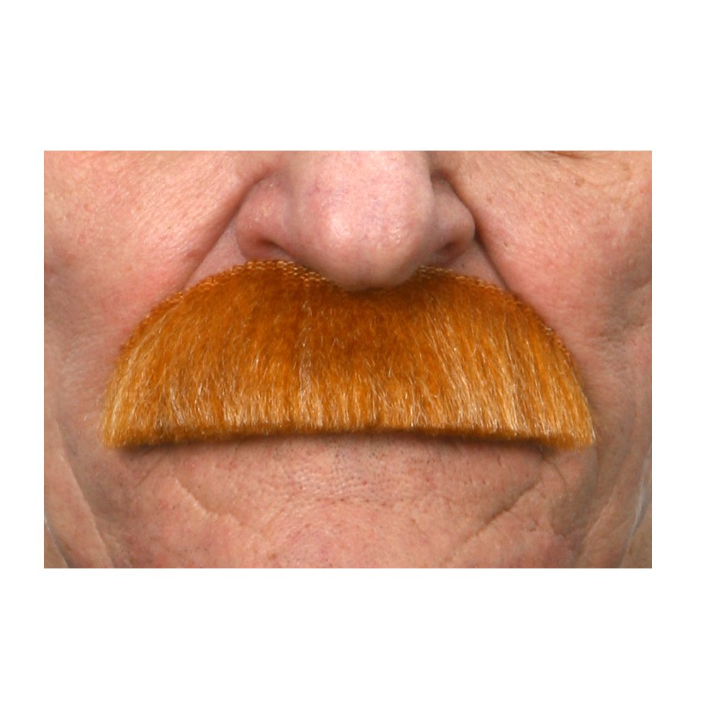 Viving Costumes 202821 Moustache