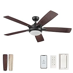 Prominence Home 51649-01 Lorelai Smart Ceiling Fan