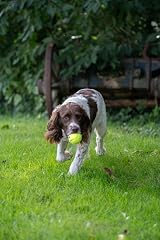 Petface Super Tennis Balls for Dogs 3 Pack Durable High-Visibility Fetch Toy view 4