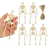 FINGOOO Skeletons for Halloween Decor, 6 Piece Mini Seleton Figurines 6