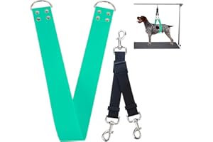 DISCPETSEC Dog Grooming Belly Band - Pet Grooming Belly Straps Groomer Belly Support 2" Wide Waterproof Strong PVC Dogs Loop with Adjustable Connector Groom Restraint for Pets Bathing Salon (Turquoise-Long)