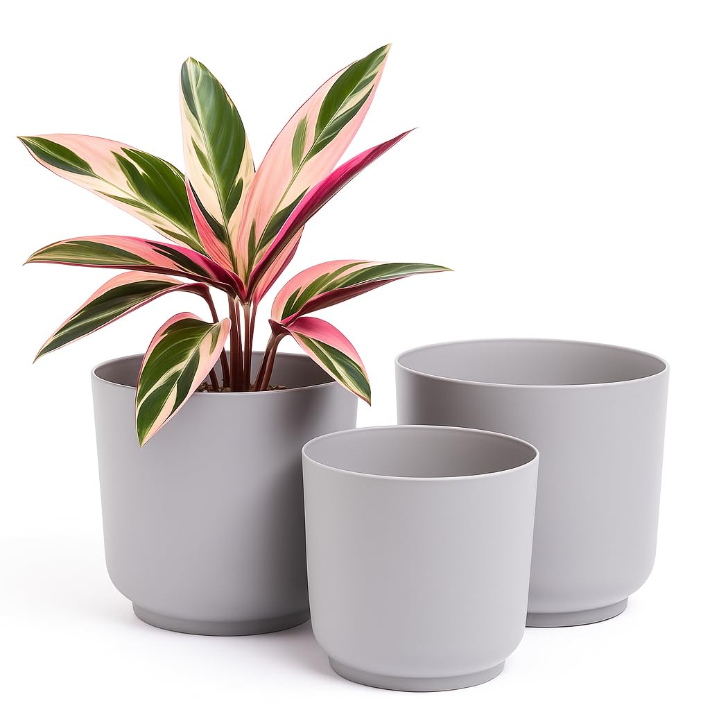 Home Garden Ornaments Luna Plant Pots Indoor – Indoor Plant Pot Set of 3 with Matte Surface, Flower Pots No Drainage Holes (Sizes: 13cm, 15cm, 17cm, Colour: Grey)