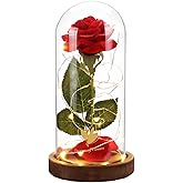 Valentines Day Gifts for Her,Beauty and The Beast Rose in Glass Dome,Lasts Forever Red Rose with LED Lights,Gifts for Women,Mom,Wife,Anniversary,Birthday, Wedding Home Decor