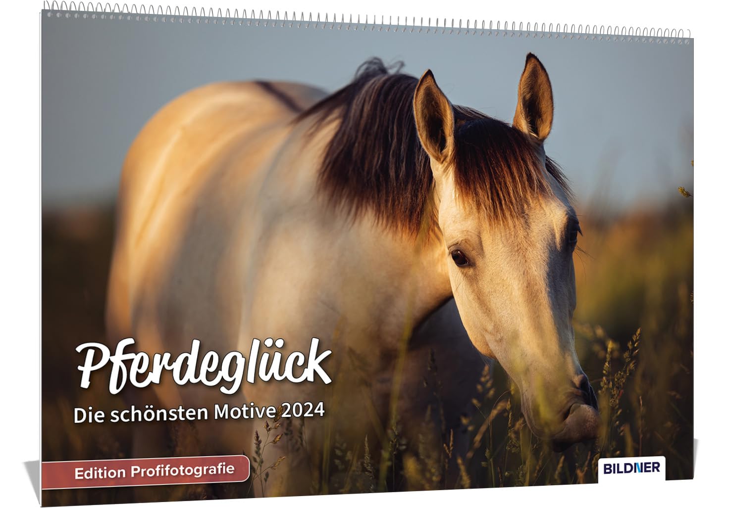 Pferde Kalender 2024 Pferdeglück! Die schönsten Pferdemotive und Aufnahmen 2024: Hochwertiger Wandkalender DIN A3 quer/Kalender/Tierkalender/Pferdekalender – Edition Profifotografie