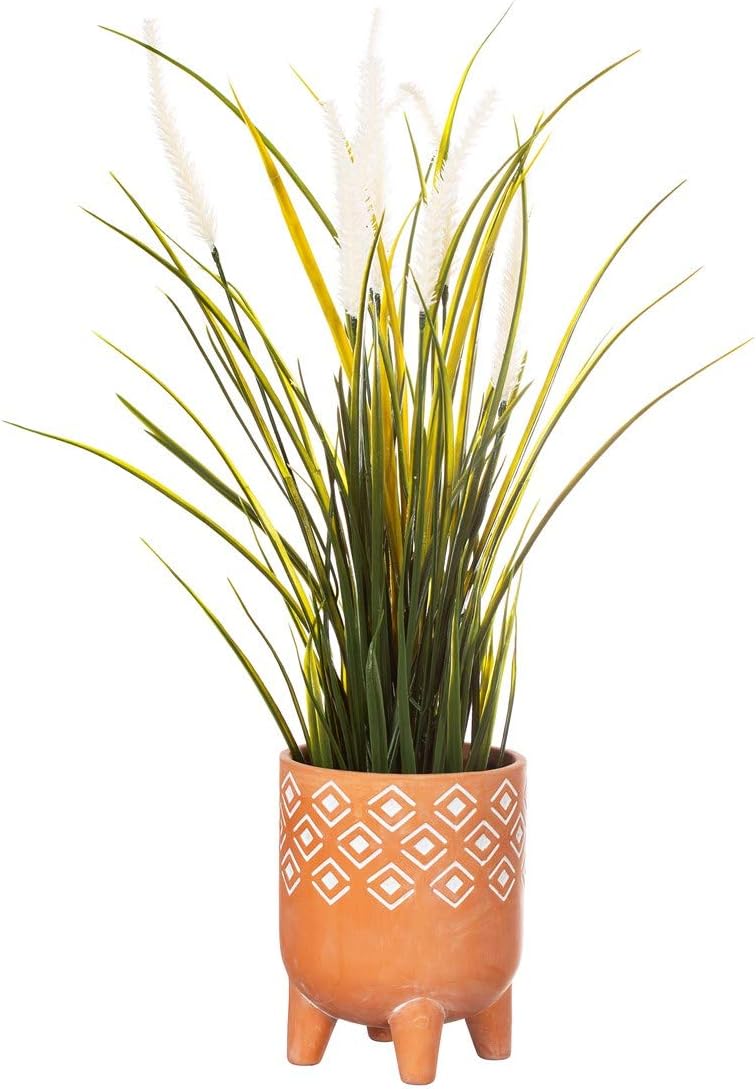 Sass & Belle – Vaso Con Gambe Sofia Sandy, Ispirato A Ibiza, In Gres E Legno, 9,5 Cm - 4