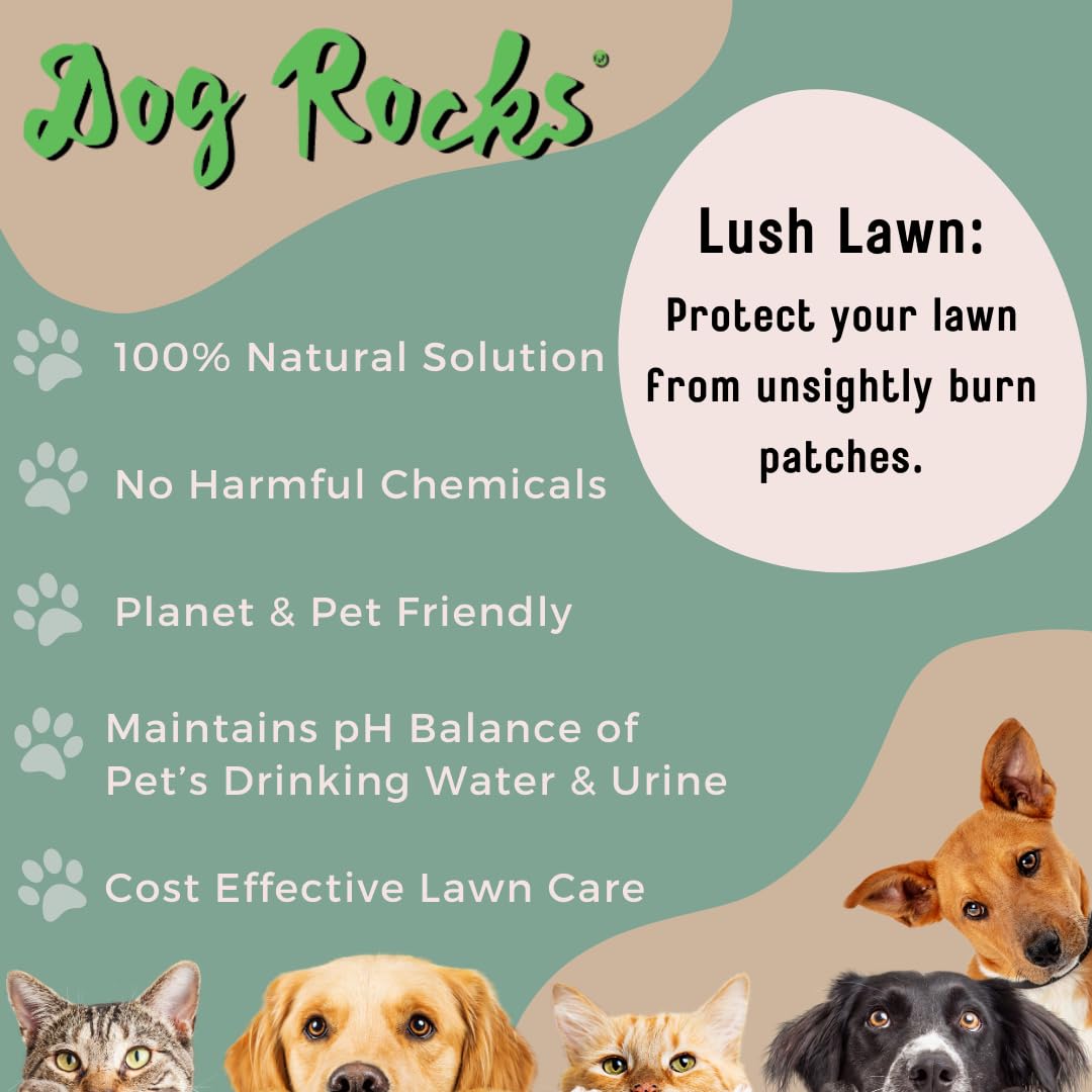 Dog Rocks Dog Pee Grass Neutralizer For Green Grass In 35 Weeks Dog