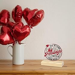 Funny Gifts for Girlfriend Boyfriend Romantic Gifts