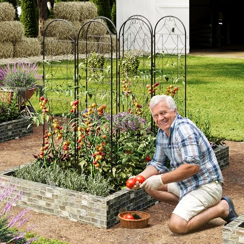 GarveeLife Large Black Metal Garden Trellis Panels – 75"(2M) Tall Decorative Fence for Climbing Plants, Vegetables & Vines – Rustproof Outdoor Support Screen – Ideal for Flowers, Roses, Cucumbers –
