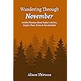 Wandering Through November: Swiftie Theories About Taylor’s 9th Era, Cryptic Clues, Trivia & Fun Activities (Exploring Every TS Era)