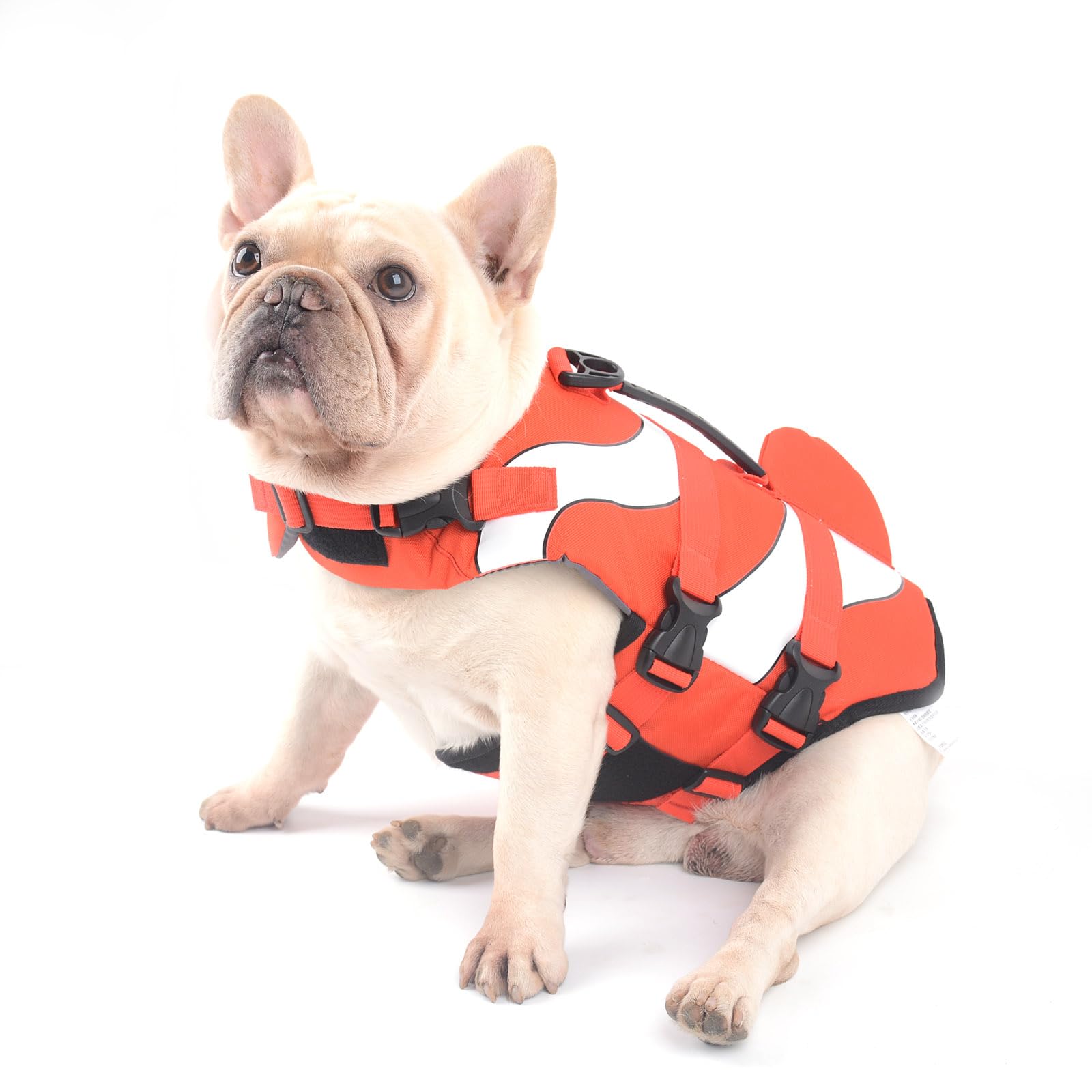 Hifrenchies Dog Life Jacket Clown Fish Vest Dog Safety Swimsuit Floatation Life Vest for French Bulldog/Pug(M,Clown fish)