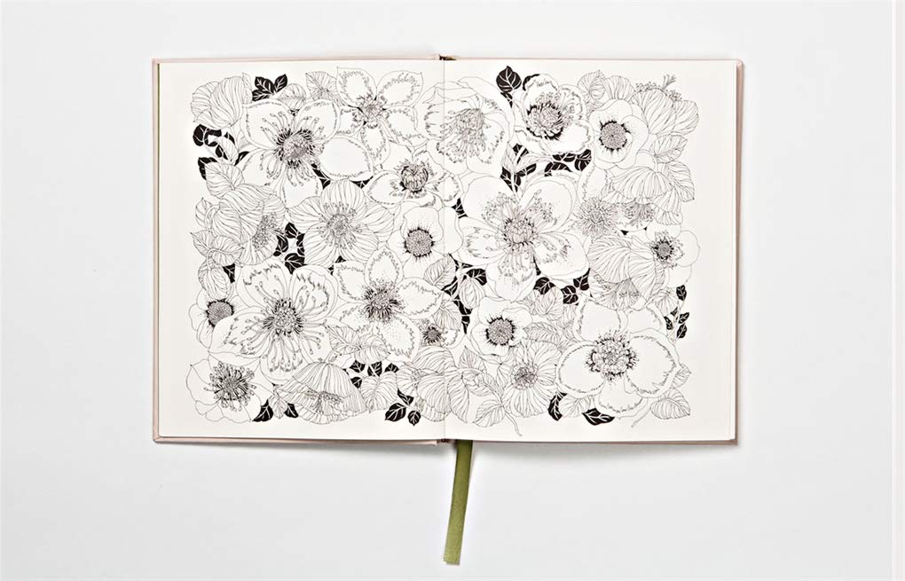 Download Amazon Com The Flower Year A Colouring Book Anglais 9781780679532 Duly Leila Books