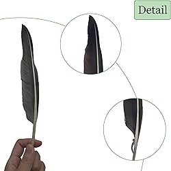 LWINGFLYER 25pcs 10"-12" Long Goose Feathers Quill