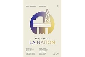 11 brefs essais sur la nation (French Edition)