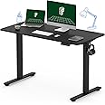 FLEXISPOT One-Piece Electric Standing Desk, 48 x 24 Inches Adjustable Desk with Seamless Desktop, Memory Controller Height Adjustment (Black Frame + Black Desktop, One Package)