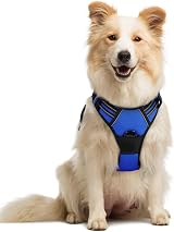 rabbitgoo Dog Harness Medium No Pull with 2 Leash Clips Reflective Blue