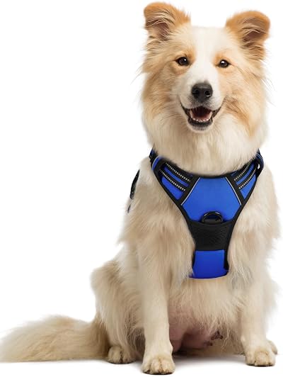 rabbitgoo Dog Harness Medium No Pull with 2 Leash Clips Reflective Blue