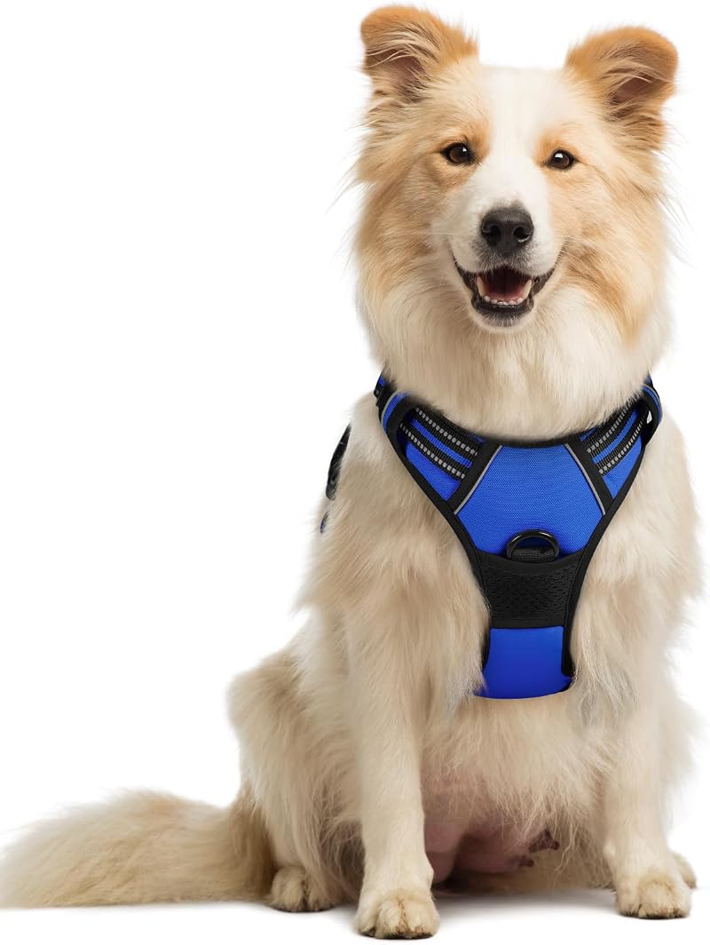 rabbitgoo Dog Harness Medium No Pull with 2 Leash Clips Reflective Blue