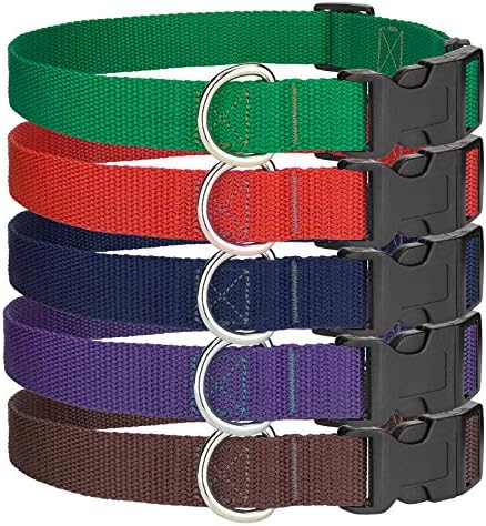 Country Brook Petz 6 - Medium Economy Polypropylene Dog Collars