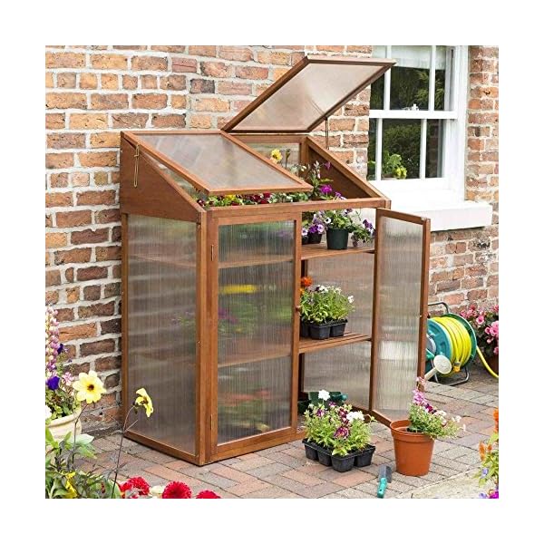 Rowlinson HWGROWST2 Hardwood Mini Greenhouse, Brown, 120x63x144 cm