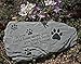 Pet Memorial Stone If Love Could Have Saved You