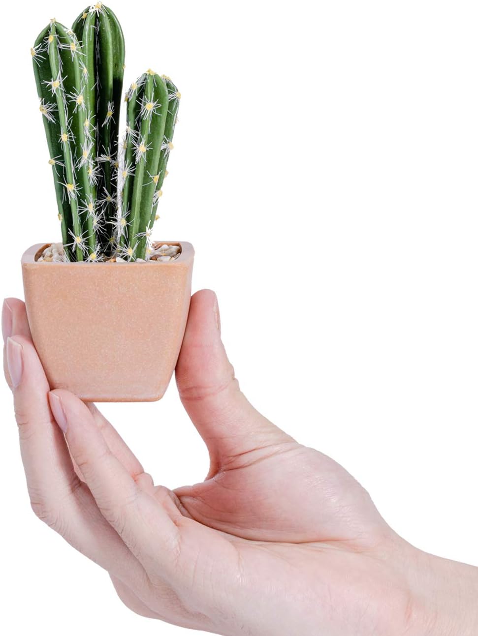 T4U Assorted Artificial Succulent Potted Plants Decorative Plastic Faux Cactus with Pots, Pack of 6 -