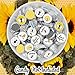 Bumble Bee Baby Shower Chocolate Kisses Candy Stickers, Honey Bee Baby Shower Decorations - 180 Count