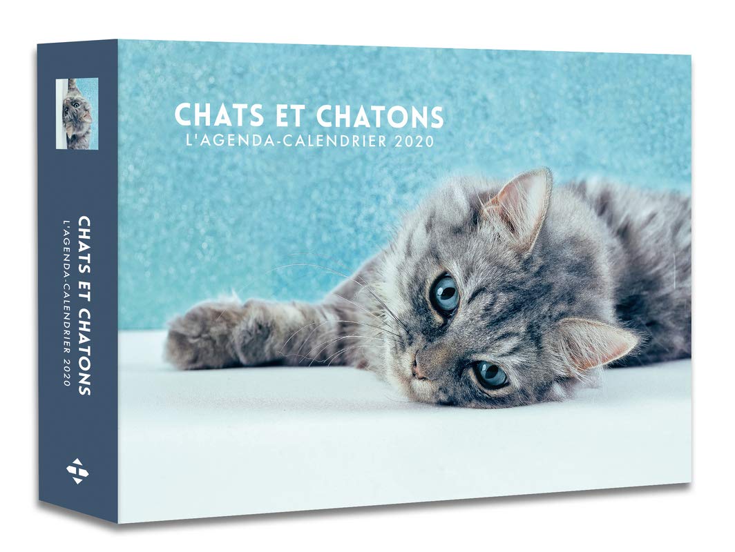 L Agenda Calendrier Chats Et Chatons Hugo Et Compagnie Amazon Es Libros