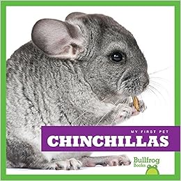 can chinchillas