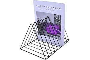 Heavty 9 Slot Vinyl Record Stand Holder Storage, Vertical Metal Album Display Rack, Desk Magazine File Book Mail Sorter Organizer for Home Office Classroom, Black 1 Pack